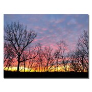 TRADEMARK FINE ART Kurt Shaffer 'Winter Sunset' Canvas Art, 30x47 KS467-C3047GG